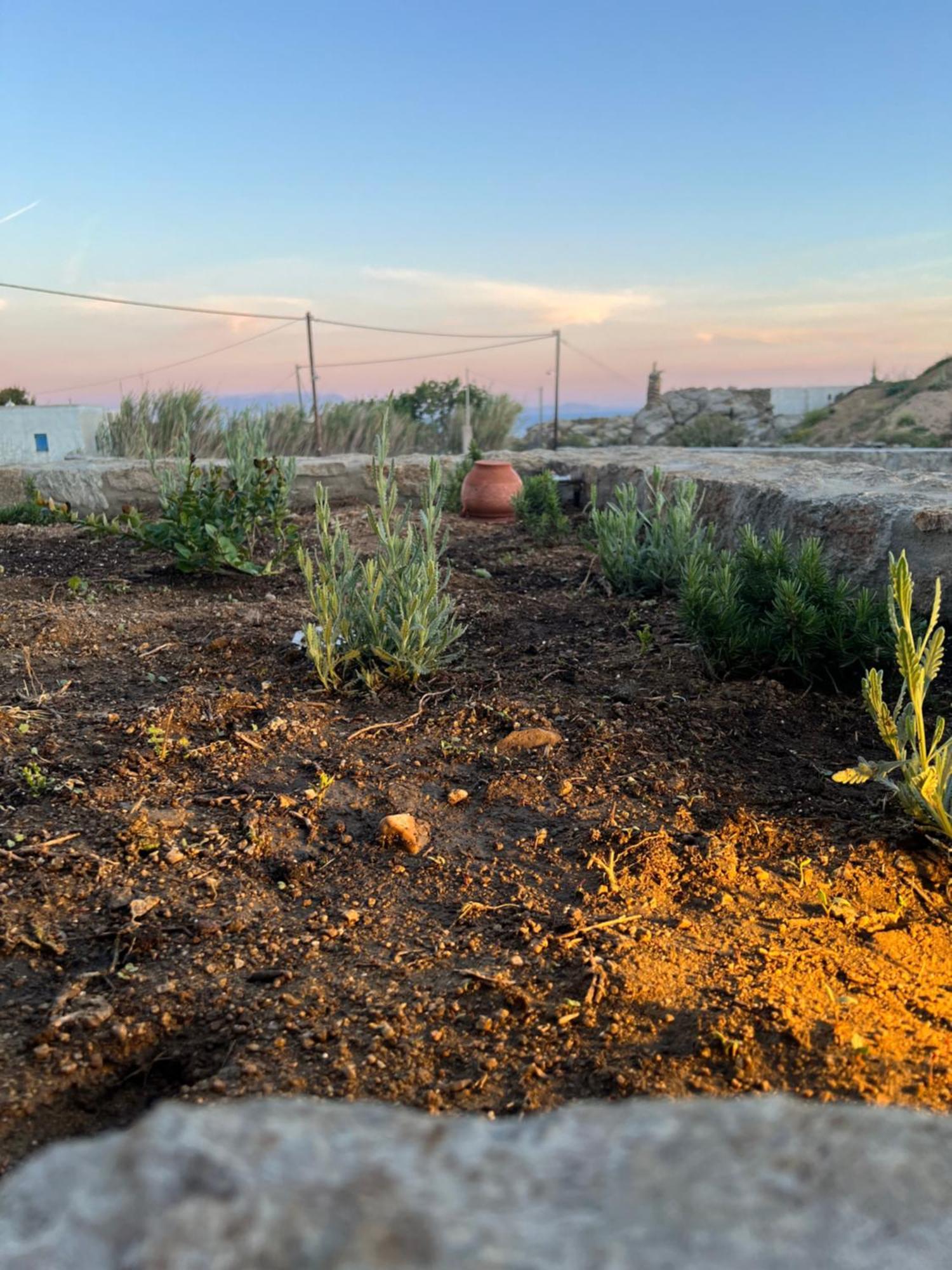 Miamis Villas Mykonos I Plintri Esterno foto